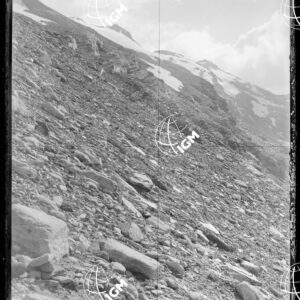 Staz.44^: Sulla Morena del Ghiacciaio - LN00018276