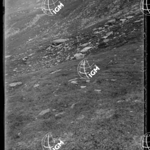 Staz.46^: Presso il Passo dei Rossi Nuovi - LN00018295