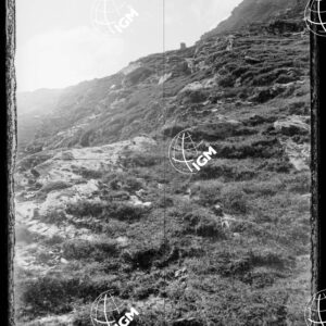 Staz.47^: Presso il Passo di Angiologo - LN00018310