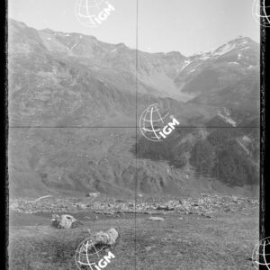 Staz.49^: Sopra il Becco degli Andossi - LN00018317