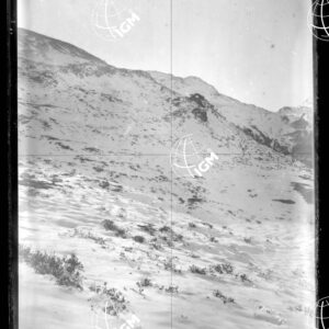 Staz.54^: Sopra il Bustino - LN00018351