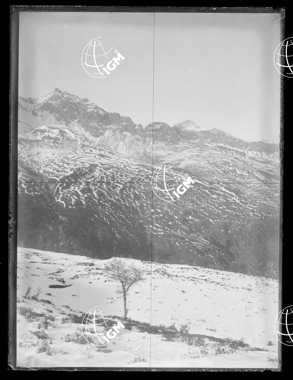 Staz.54^: Sopra il Bustino - LN00018353
