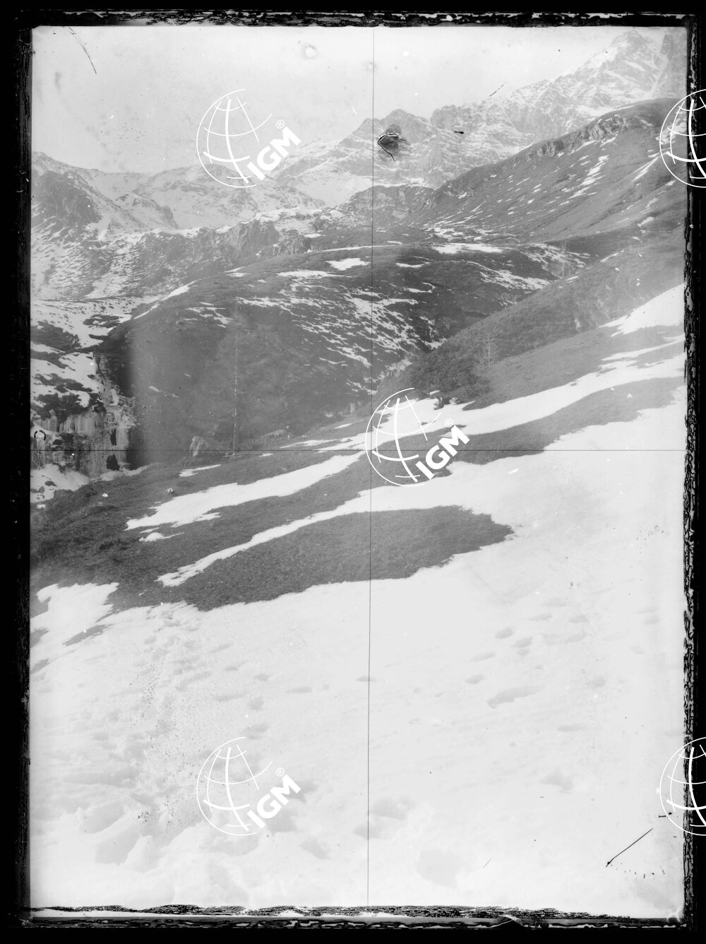 Staz.56^: Sopra i Piani di Baldiscio - LN00018372