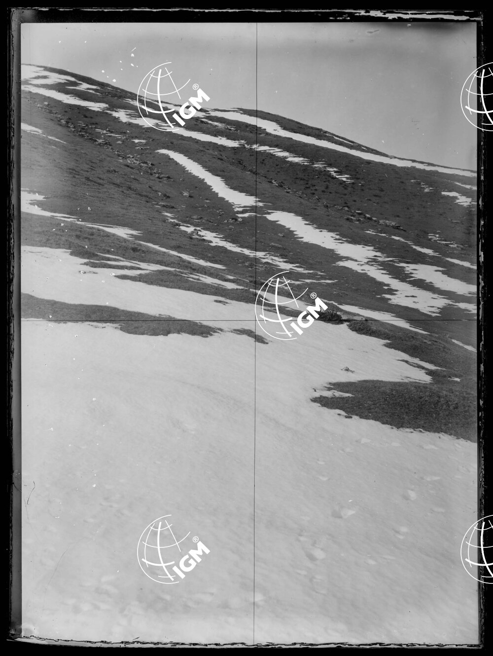 Staz.56^: Sopra i Piani di Baldiscio - LN00018374