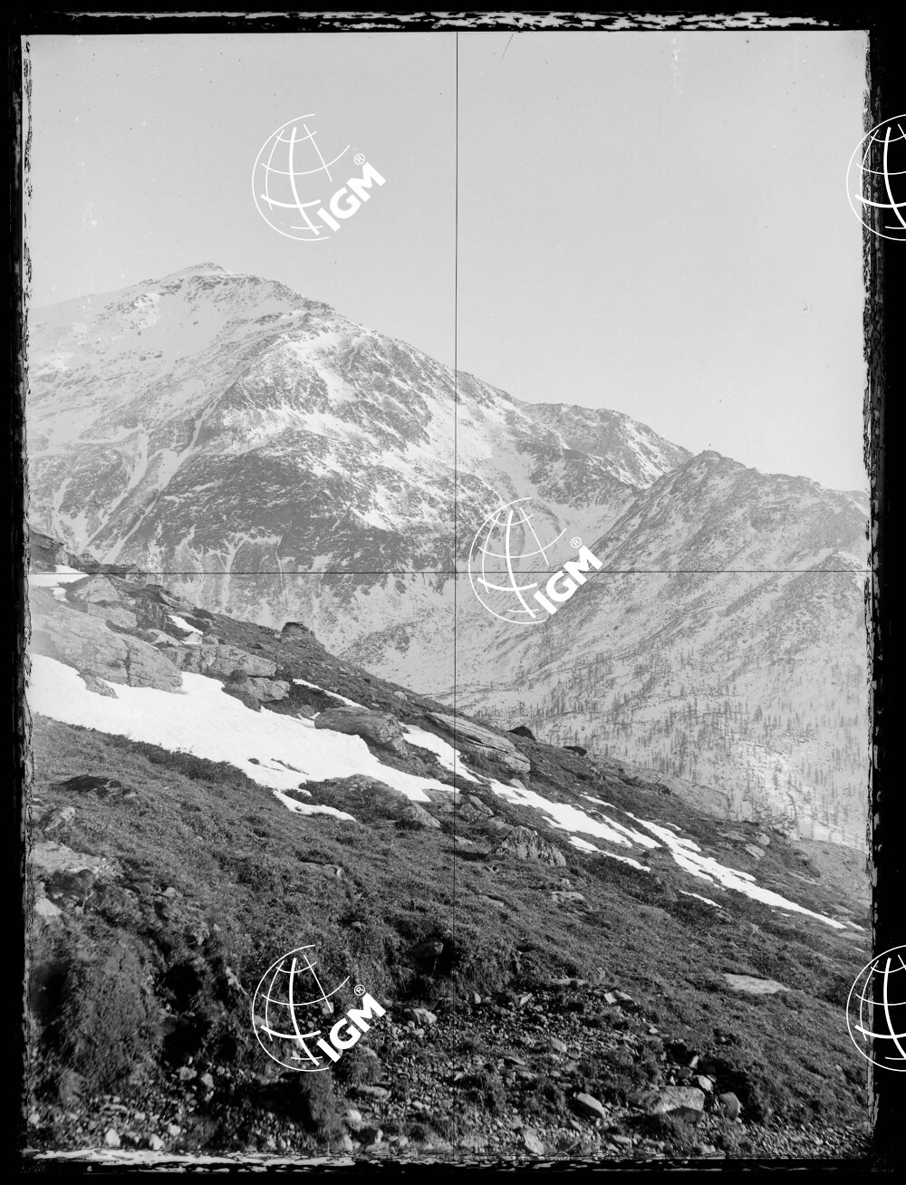 Staz.59^: Sopra il Pianello - LN00018387