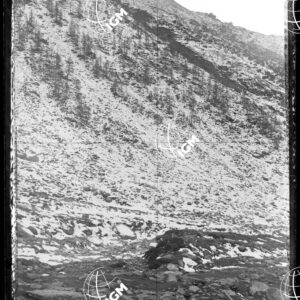 Staz.62^: Sopra L'Alpe di Avero - LN00018400