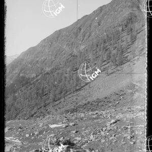 Staz.62^: Sopra L'Alpe di Avero - LN00018403