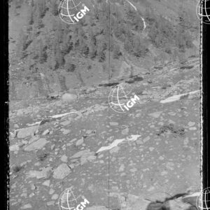 Staz.62^: Sopra L'Alpe di Avero - LN00018405