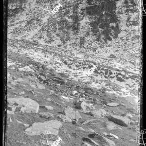 Staz.62^: Sopra L'Alpe di Avero - LN00018408