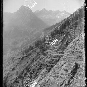 Pan.2: sopra L'Alpe Pighiò (Val di Fassa?) - LN00018428
