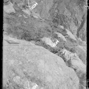 Pan.2: sopra L'Alpe Pighiò (Val di Fassa?) - LN00018432