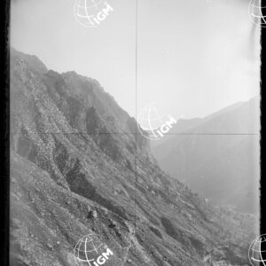 Pan.2: sopra L'Alpe Pighiò (Val di Fassa?) - LN00018434