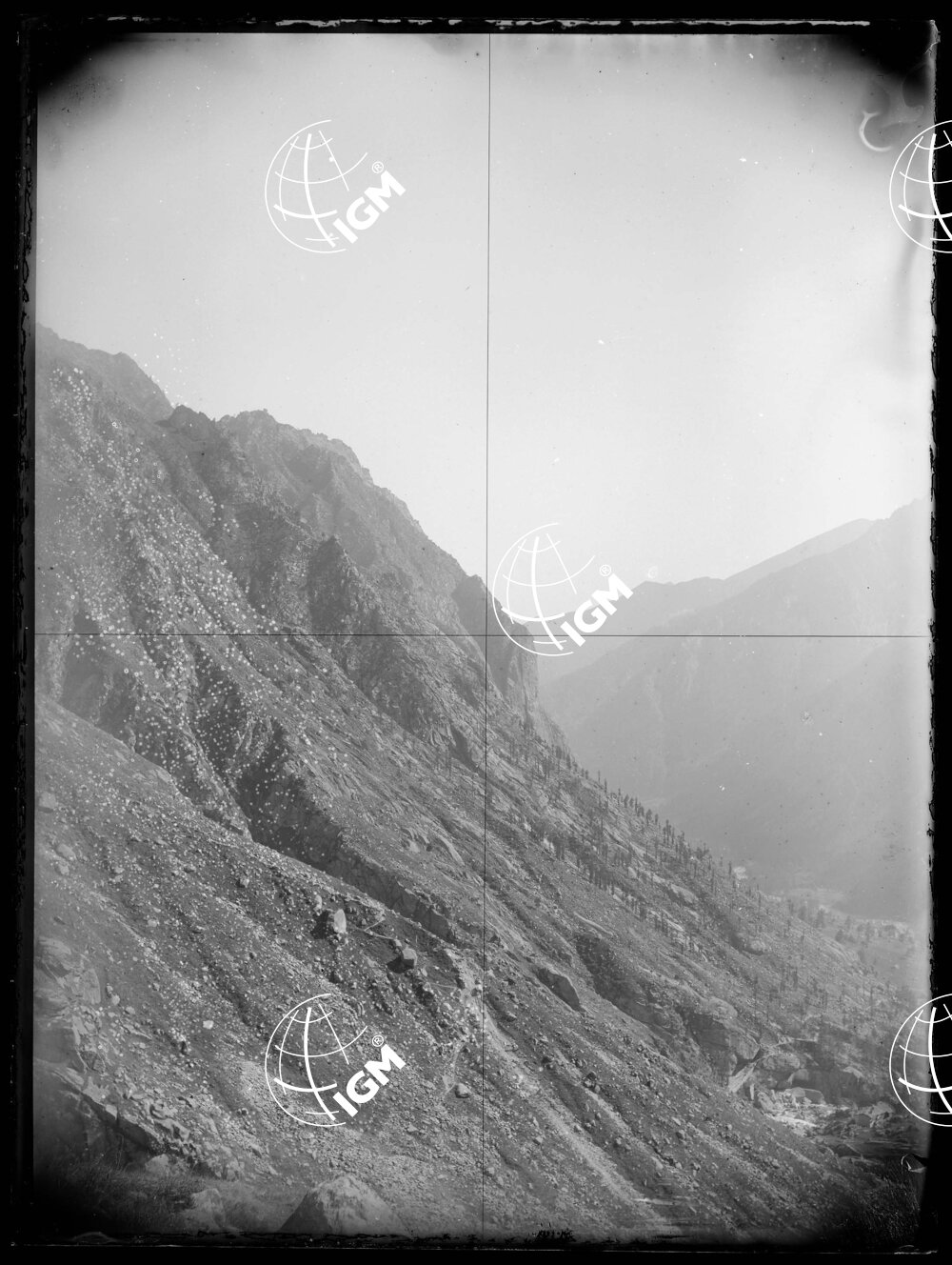 Pan.2: sopra L'Alpe Pighiò (Val di Fassa?) - LN00018434