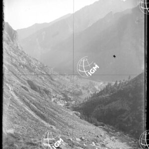Pan.2: sopra L'Alpe Pighiò (Val di Fassa?) - LN00018436