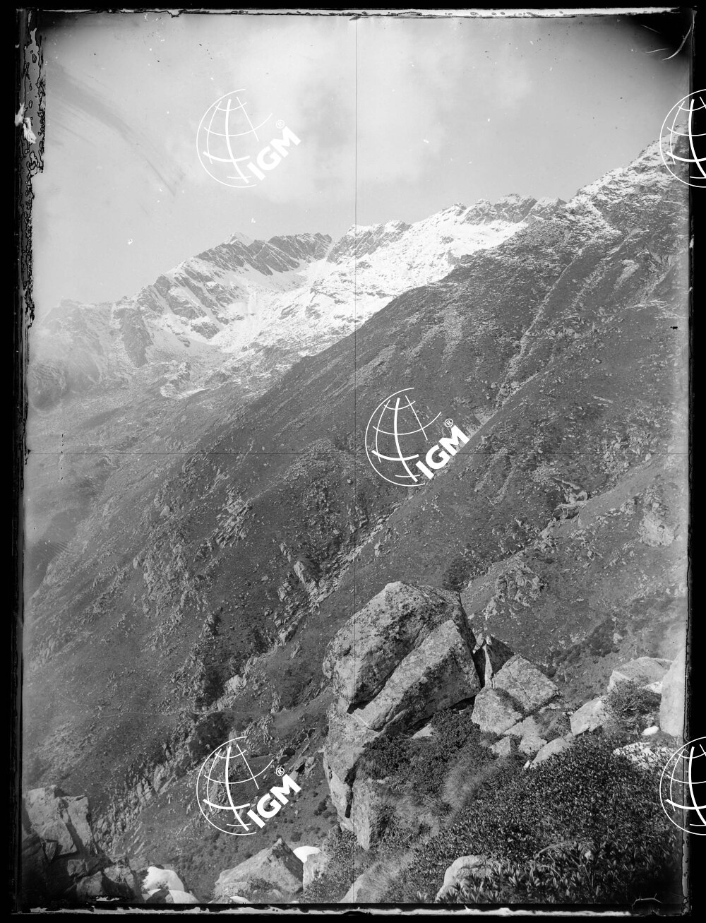 Pan.5: Sopra l'alpe del Gioco (Val di Fassa) - LN00018463