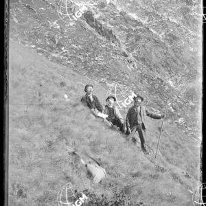 Pan.5: Sopra l'alpe del Gioco (Val di Fassa) - LN00018467