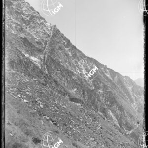 Pan.5: Sopra l'alpe del Gioco (Val di Fassa) - LN00018469