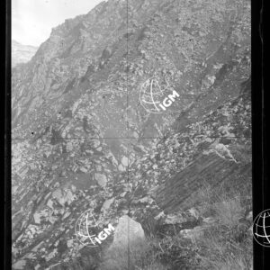 Staz.9: Alpe Giasset - LN00018574