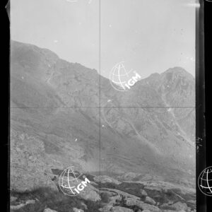 Staz.14: Lago delle Losere - LN00018627