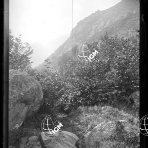 Staz.15: Pezza di Sopra - LN00018630