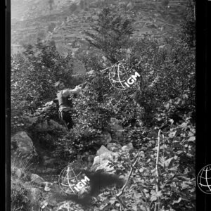 Staz.15: Pezza di Sopra - LN00018631