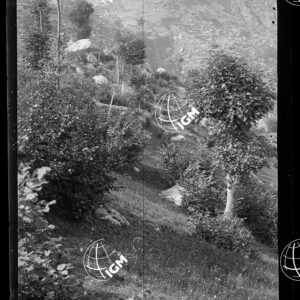 Staz.15: Pezza di Sopra - LN00018632
