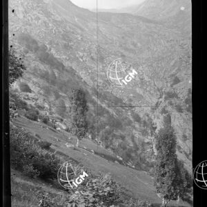 Staz.15: Pezza di Sopra - LN00018633