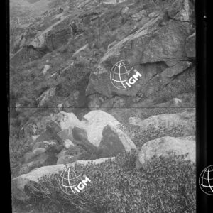 Staz.19: Lago della Balma - LN00018666