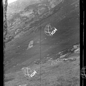 Staz.23: Alpe della Colma - LN00018698