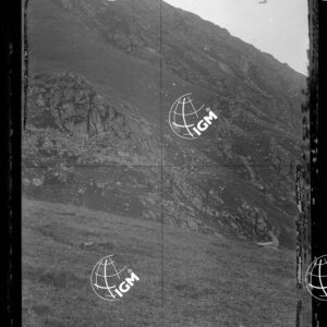 Staz.23: Alpe della Colma - LN00018702