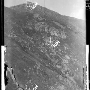 Staz.25: Alpe di Moje - LN00018712
