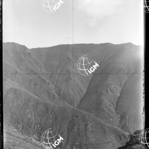 Staz.25: Alpe di Moje - LN00018714