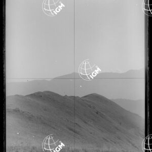 Staz.27: Punta Saler - LN00018728
