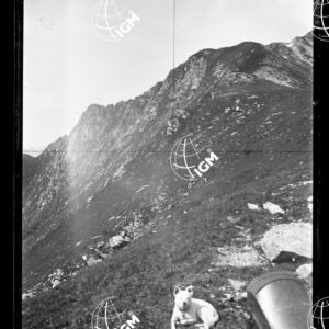 Staz.34^: Filo del Serino - LN00018215