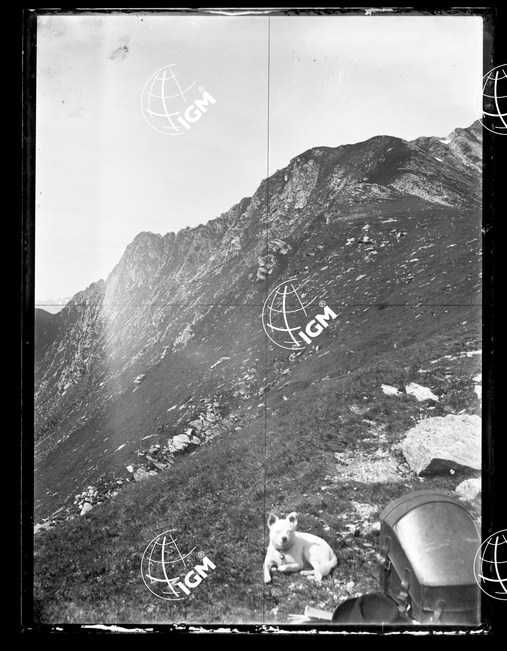 Staz.34^: Filo del Serino - LN00018215