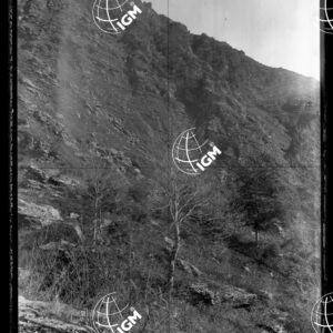 Staz.29: Punta di Zambram - LN00018740