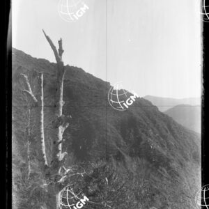Staz.29: Punta di Zambram - LN00018741