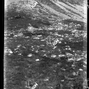 Moncenisio Panorama 8 alla Croce di confine (Bellecombe) sotto le roccie Carlina sin. fot. 1 - LN00019506