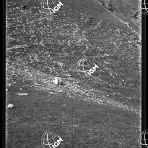 Moncenisio Panorama 7 costa delle Roncie sopra Toet sin. fot. 1 - LN00019762