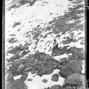 "Sud di Bardonecchia Panorama 15 PRESSO LA GUGLIA DEL MEZZODI"", sin. Fot. 9" - PE00000786