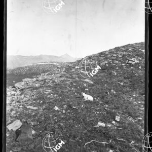 Sud di Bardonecchia Panorama 16 ROCCIE DELLA SUEUR, sin. Fot. 8 - PE00000795