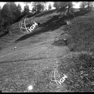 Bardonecchia - Presso Oulax Panorama 9 sopra le Margherie del Seu sin. Fot. 4 - LN00020468