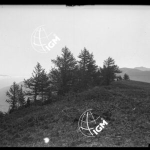 Bardonecchia - Presso Oulax Panorama 11 alla Punta Pramand sin. Fot. 1 - LN00020479
