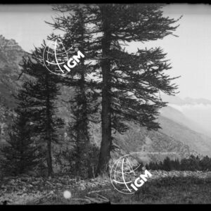 Bardonecchia - Presso Oulax Panorama 11 alla Punta Pramand sin. Fot. 6 - LN00020484