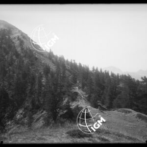 Bardonecchia - Sotto Serre Sec - LN00025235