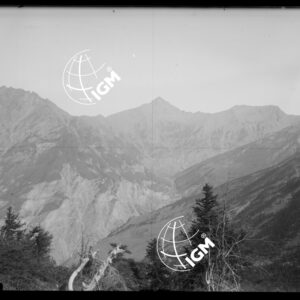 Bardonecchia - Sotto Serre Sec - LN00025238