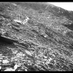 Bardonecchia - Sulla Roccia che scende ad Ovest di Punta Valfroide (Valfredda- Vallone d'Almiane) - LN00025272