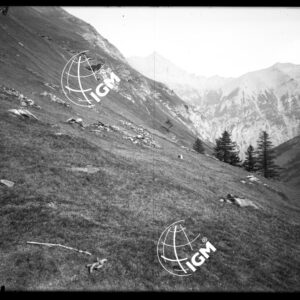 Bardonecchia - Sui Prati ad Est di Praforà - LN00025289