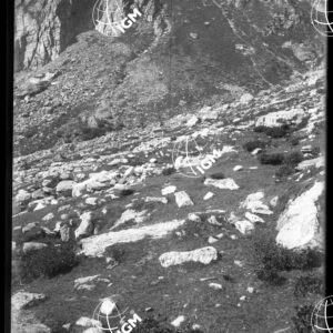 Valle di Susa - Sopra l'Attendamento di Valle Galambra sotto il Colle d'Ambin - LN00025294