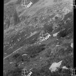 Valle di Susa - Sotto Colle D'Ambin presso Roc del Cuculo (Cucco) - LN00025319